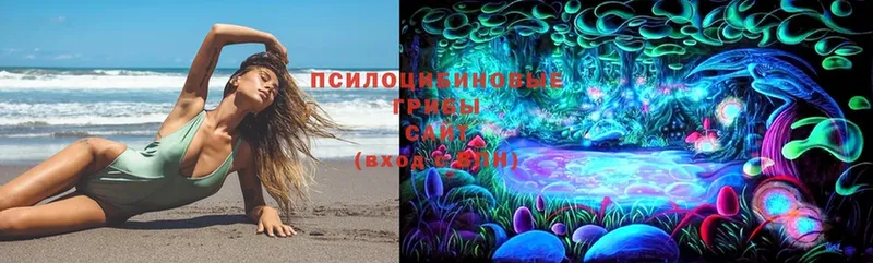 Псилоцибиновые грибы Psilocybine cubensis  Балей 